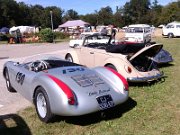 Beetle Show Rioz (34)